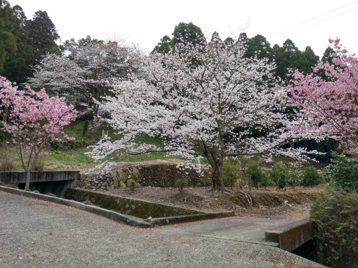 満天の庭 Manten-No-Niwa Kurume Buitenkant foto
